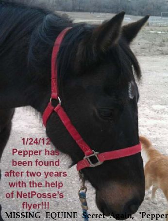 MISSING EQUINE Secret Again, "Pepper", Near Amarillo, TX, 00000